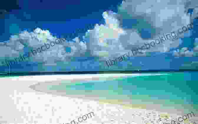 A Breathtaking View Of A White Sand Beach And Crystal Clear Waters On Conception Island The Island Hopping Digital Guide To The Southern Bahamas Part I Long Island: Including Conception Island Rum Cay And San Salvador