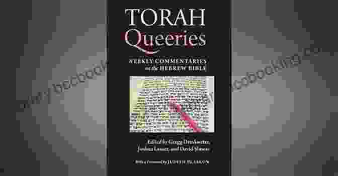 A Colorful Book Cover With The Title 'Torah Queeries' And A Rainbow Flag Design. Torah Queeries: Weekly Commentaries On The Hebrew Bible