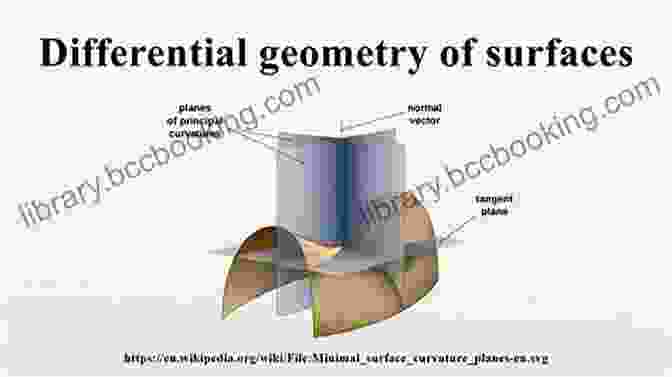 A Geometric Representation Of A Differential Form On A Surface, Showcasing Its Magnitude And Direction. A Beginner S Guide To Differential Forms