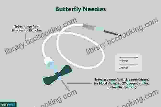 A Healthcare Professional Using A Butterfly Needle Phlebotomy For Beginners: Step By Step Guide