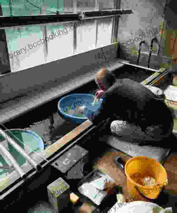 A Japanese Papermaker At Work Paper Wood Oil And Senpai: Cori Cifuentes Second Art Exposition