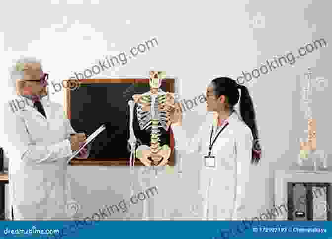 A Pre Med Student Studying Anatomy With A Human Skeleton Pre Med Ponderings: A Student Guide To Medical School Application