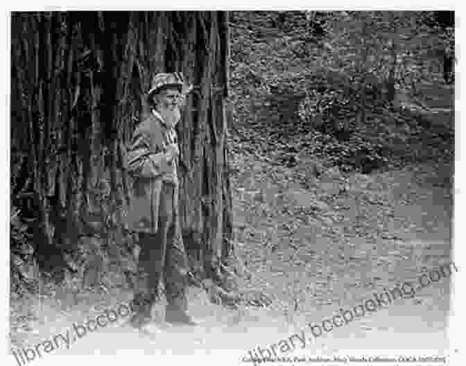 A Young John Muir Exploring The Woods Son Of The Wilderness: The Life Of John Muir
