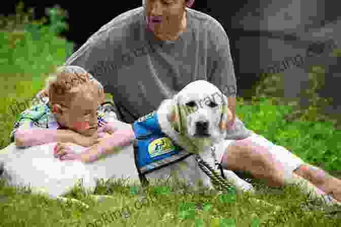Assistance Dog Helping A Child With Autism The Golden Bridge: A Guide To Assistance Dogs For Children Challenged By Autism Or Other Developmental Disabilities (New Directions In The Human Animal Bond)