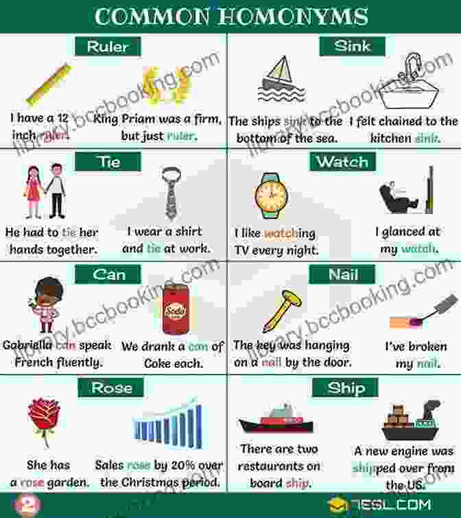 Bank Noun And Noun Homonym Illustration Understanding Common Homophones And Homonyms In English: An English Course For Second Language Teachers Parents Students Foreigners TOEFL And ESL Like Natives (English Vocabulary 2)