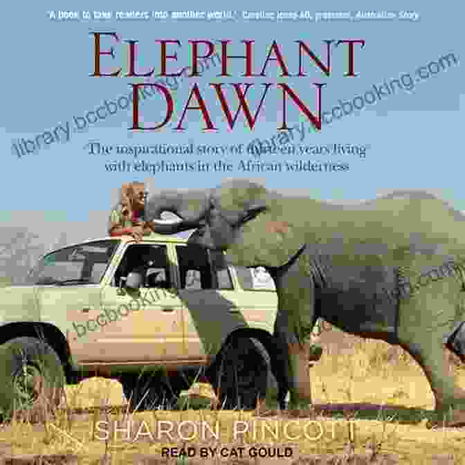 Book Cover Of Elephant Dawn By Sharon Pincott, Featuring An Elephant Walking Through A Misty Forest Elephant Dawn Sharon Pincott