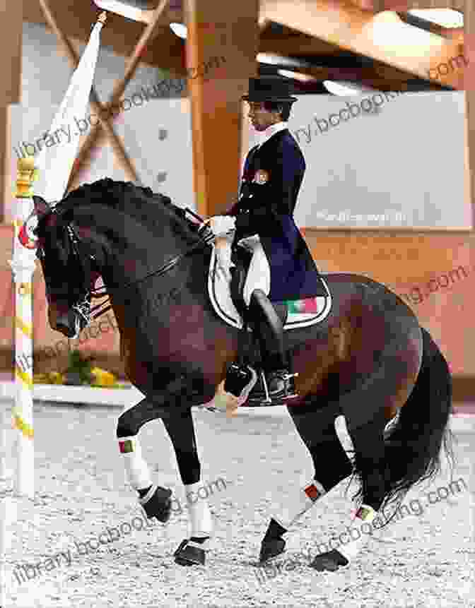 Classical Dressage Horse And Rider Performing Piaffe Twisted Truths Of Modern Dressage: A Search For A Classical Alternative