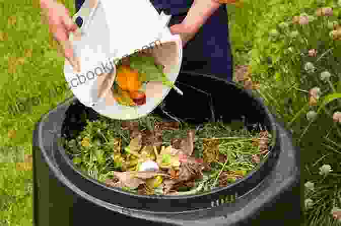 Composting Food Scraps Rubbish : The Archaeology Of Garbage