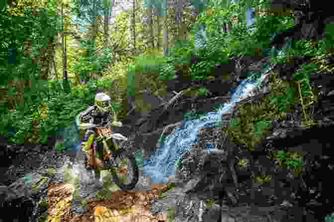 Dirt Bike Riders Riding Responsibly On A Forest Trail How To Ride A Dirtbike