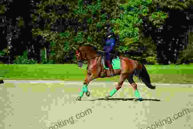 Dressage Horse And Rider Performing A Difficult Movement Twisted Truths Of Modern Dressage: A Search For A Classical Alternative