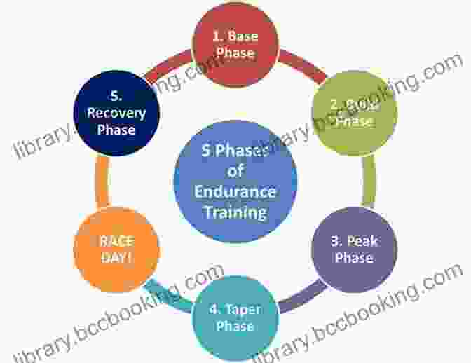 Effective Training And Periodization For Triathletes The Well Built Triathlete: Turning Potential Into Performance
