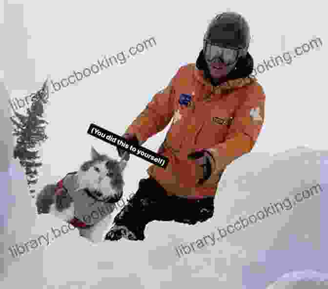 Henry, The Avalanche Rescue Dog, Rescuing A Snowboarder Trapped In An Avalanche Superpower Dogs: Henry: Avalanche Rescue Dog