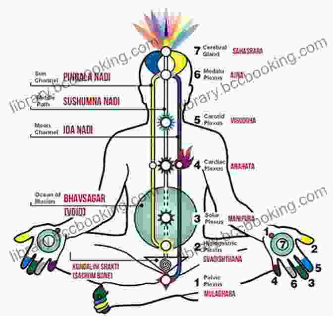 Kundalini, Prana, Chakras, And Nadis In Energy Flow Nyasa Yoga: Kundalini Prana Chakra And Nadi Cultivation Techniques Edition