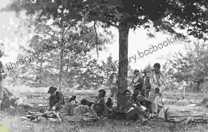 Michigan Anishinaabe Sharpshooter Taking Aim Deadly Aim: The Civil War Story Of Michigan S Anishinaabe Sharpshooters