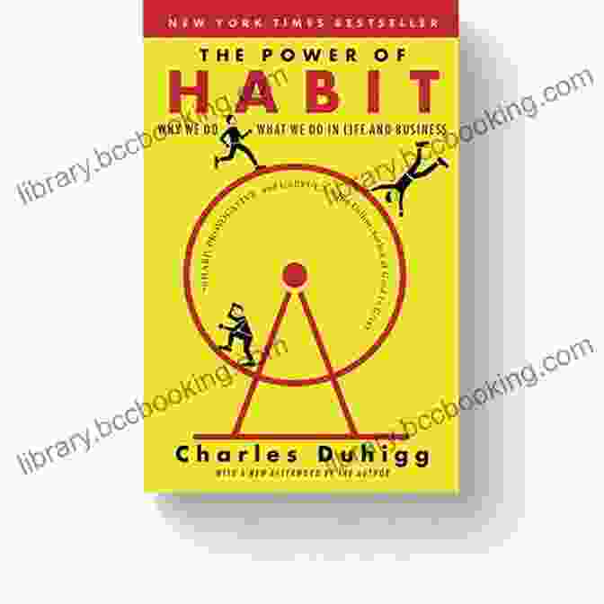 Navigating College With The Habits Book Cover Navigating College With The 7 Habits: A Digital To Help You Succeed In School And In Life (Teen Young Adult College Guide For Readers Of The Naked Roommate)