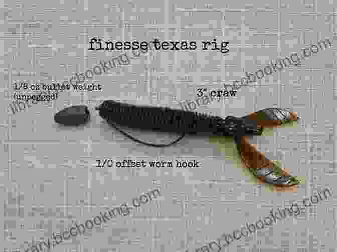 Texas Rig For Bass Fishing BASS FISHING TIPS PLASTIC WORMS: How To Catch Bass On Plastic Worms