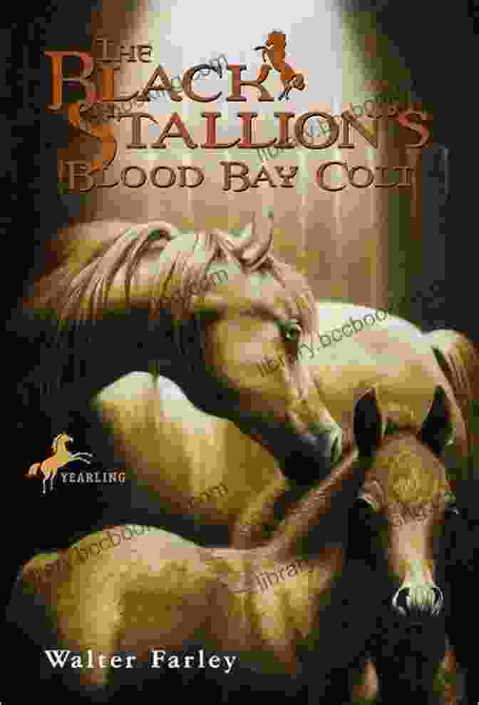 The Black Stallion Blood Bay Colt Book Cover The Black Stallion S Blood Bay Colt
