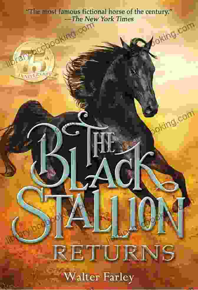 The Black Stallion Returns Book Cover The Black Stallion Adventures: The Black Stallion Returns The Black Stallion S Ghost The Black Stallion Revolts