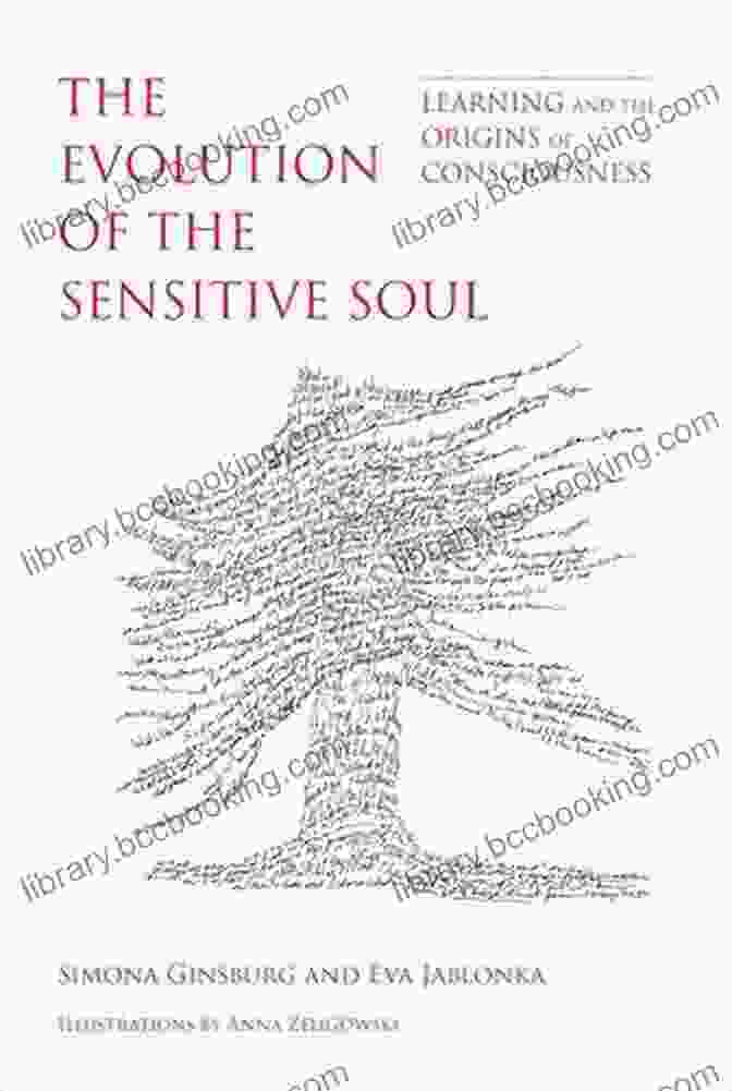 The Evolution Of The Sensitive Soul Book Cover, Featuring A Delicate Silhouette Of A Woman's Face Amidst A Celestial Backdrop The Evolution Of The Sensitive Soul: Learning And The Origins Of Consciousness