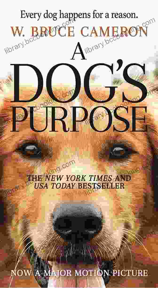 The Power Of The Dog Book Cover With A Rugged Mountain Landscape And A Dog Standing On A Rock The Power Of The Dog