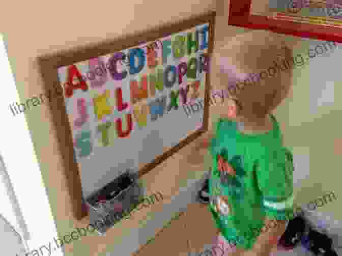 Toddler Interacting With Alphabet Pictures Alphabet Animals II : Alphabet With Pictures Alphabet Flash Cards For Toddlers Alphabet A Z Alphabet For Toddlers 1 3 (Alphabet Collection)