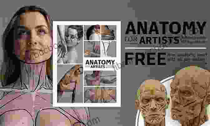 Unlocking The Secrets Of Human Anatomy For Artists Fundamentals Of Drawing (English Edition): Textbook (Fundamentals Of Art 1)
