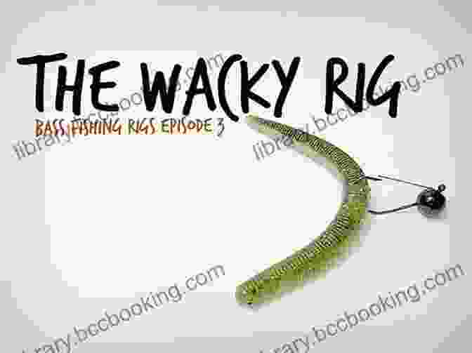 Wacky Rig For Bass Fishing BASS FISHING TIPS PLASTIC WORMS: How To Catch Bass On Plastic Worms