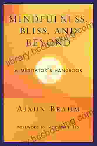 Mindfulness Bliss And Beyond: A Meditator S Handbook