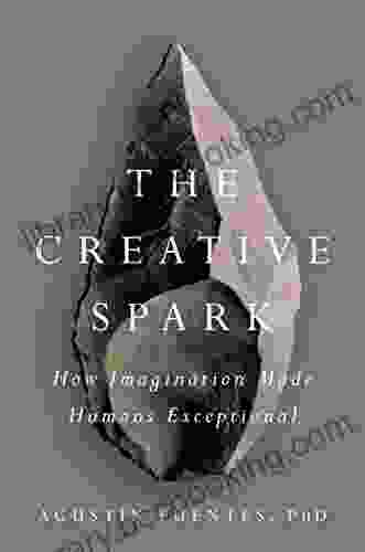 The Creative Spark: How Imagination Made Humans Exceptional