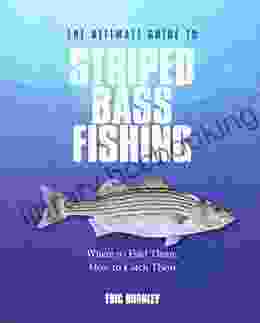 Ultimate Guide To Striped Bass Fishing: Where To Find Them How To Catch Them