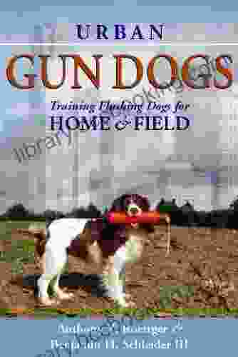 Urban Gun Dogs: Training Flushing Dogs For Home And Field