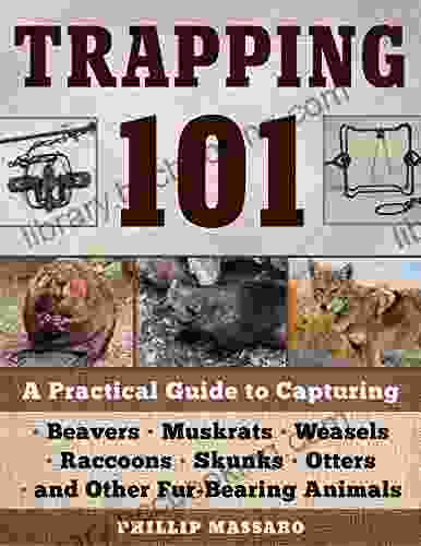 Trapping 101: A Complete Guide To Taking Furbearing Animals