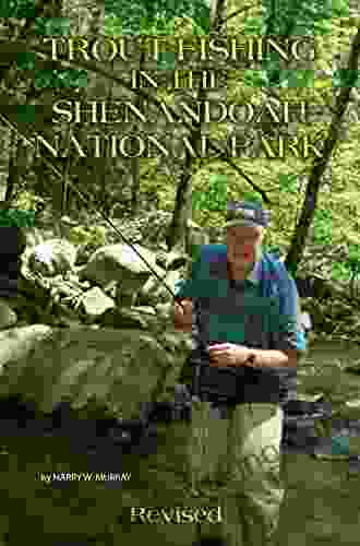 Trout Fishing In The Shenandoah National Park