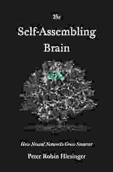 The Self Assembling Brain: How Neural Networks Grow Smarter